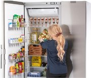 Холодильник с морозильной камерой Festivo 120 CFM 120CFM531 (серый/нержавеющая сталь) фото 3 в Санкт-Петербурге