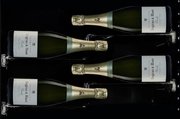 Винный шкаф Dunavox DX-58.258DB фото 3 в Санкт-Петербурге