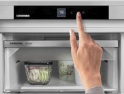 Встраиваемая морозильная камера Liebherr IFNd 3503 фото 4 в Санкт-Петербурге