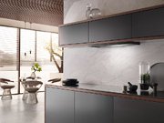 Встраиваемая вытяжка Miele DAS 2920 черный матовый фото 3 в Санкт-Петербурге