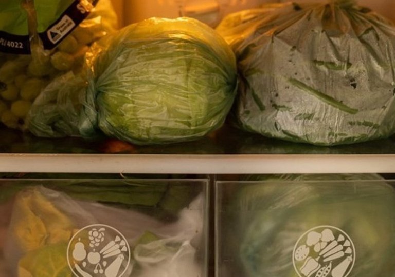 Можно ли, как и сколько хранить капусту в холодильнике