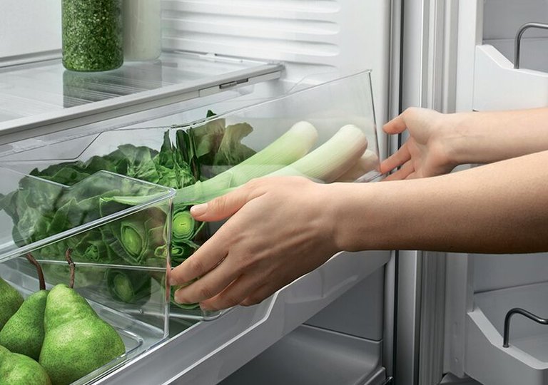 Как хранить зелень в холодильнике, чтобы она оставалась свежей