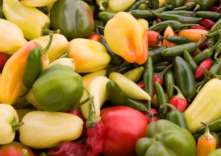 Можно ли, как и сколько хранить болгарский перец в холодильнике