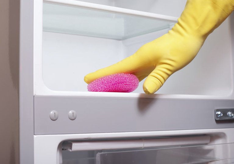 Как помыть холодильник после разморозки